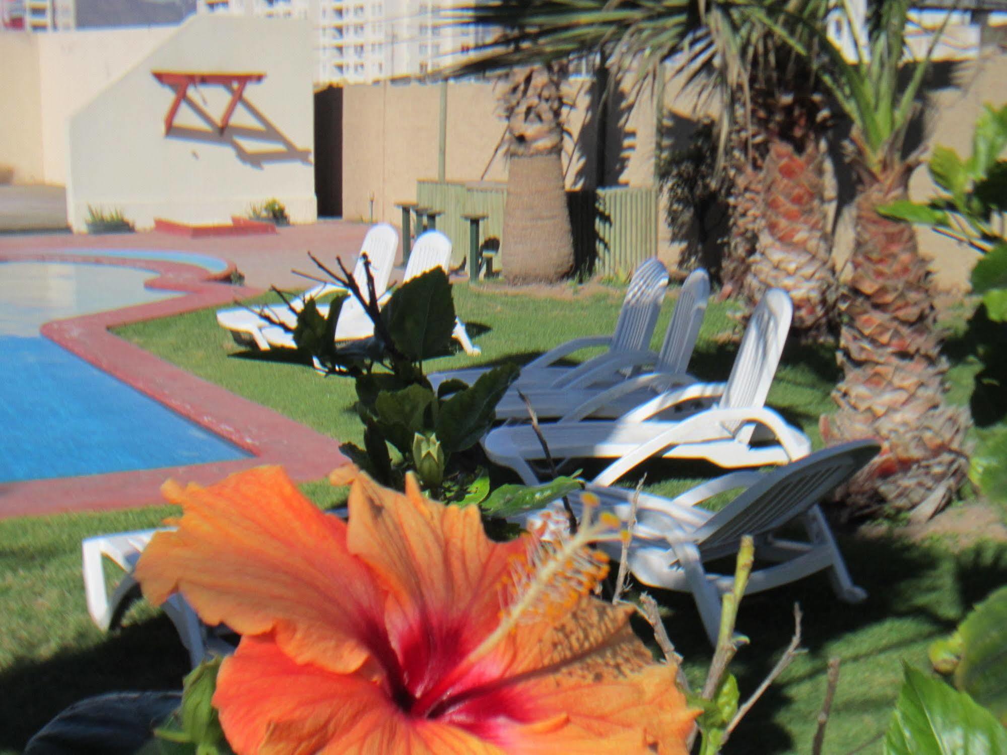 Hotel Canto Del Mar La Serena Zewnętrze zdjęcie
